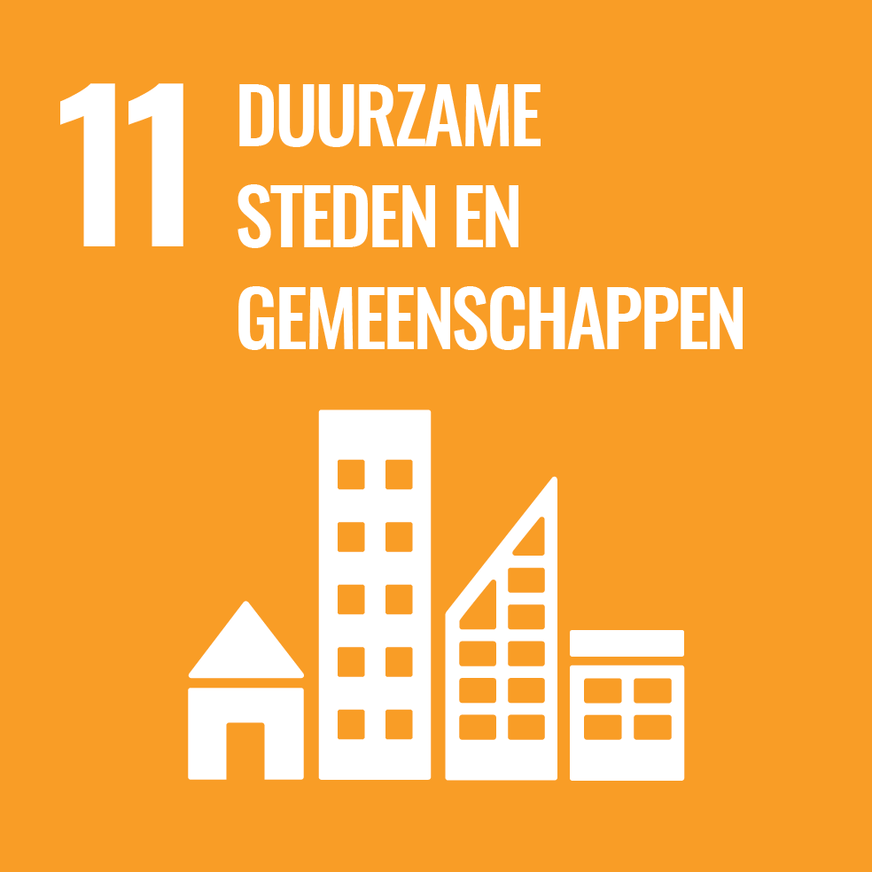 11. Maak steden en gemeenschappen inclusief, veilig, solide en duurzaam