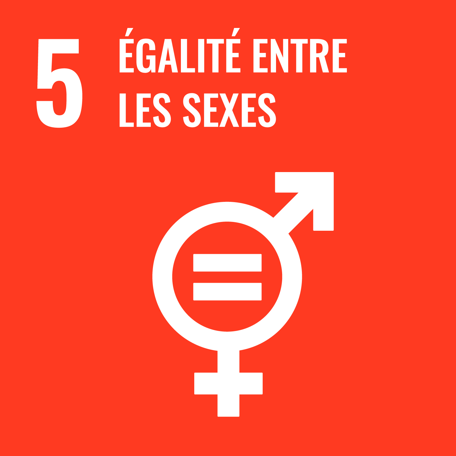 5. Égalité entre les sexes